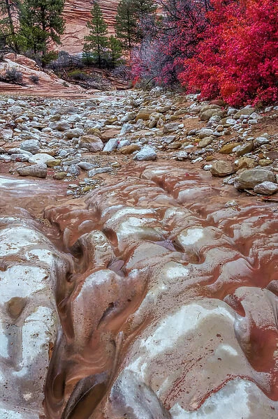 USA, Utah, Zion National Park. Ground rock pattern