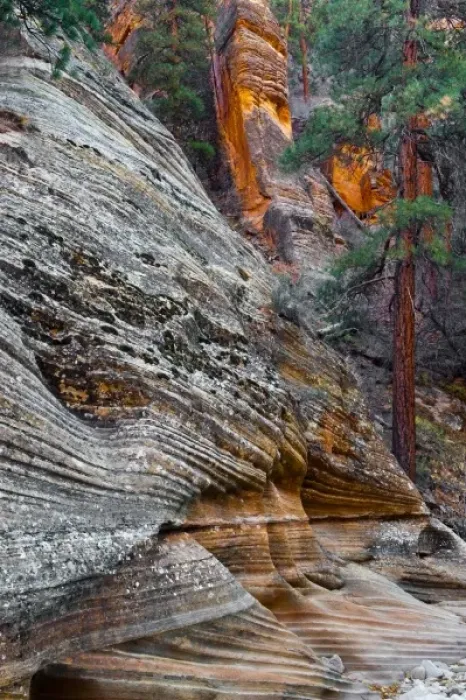 Framed Print : USA, Utah, Zion National Park. Rock formations in Red Rock Canyon Framed Print : USA, Utah, Zion National Park. Rock formations in Red Rock Canyon