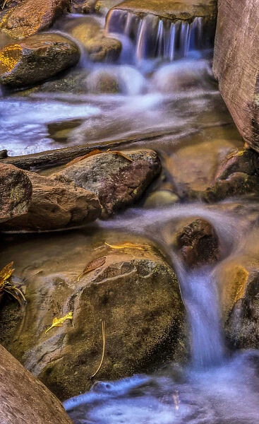 USA, Utah, Zion National Park. Rocks in stream