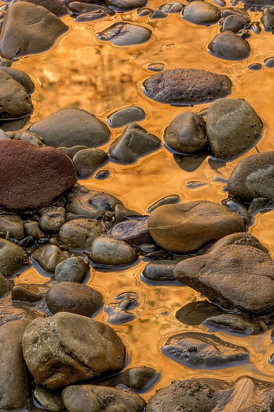 USA, Utah, Zion National Park. Rocks in water