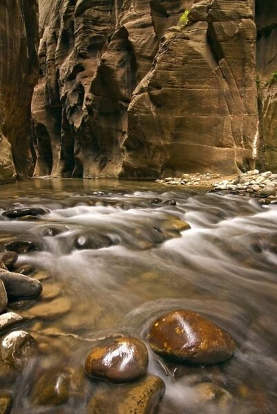 USA, Utah, Zion National Park. A scene along the Virgin River Narrows