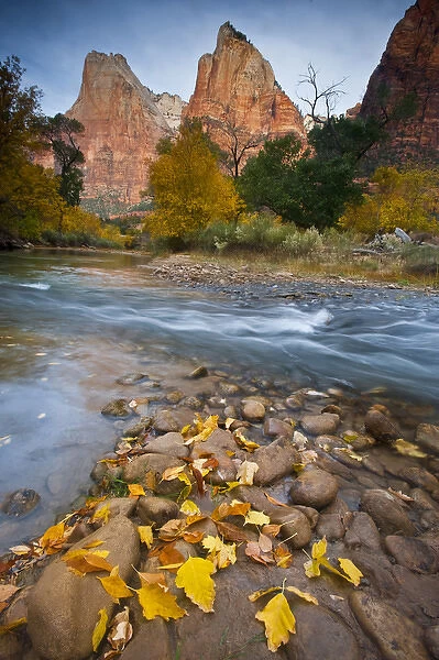 USA, Utah, Zion National Park. The Sentinel with fallen leaves in Virgin River. Credit as