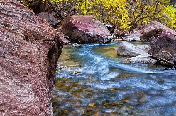 USA, Utah, Zion National Park. Stream in autumn landscape