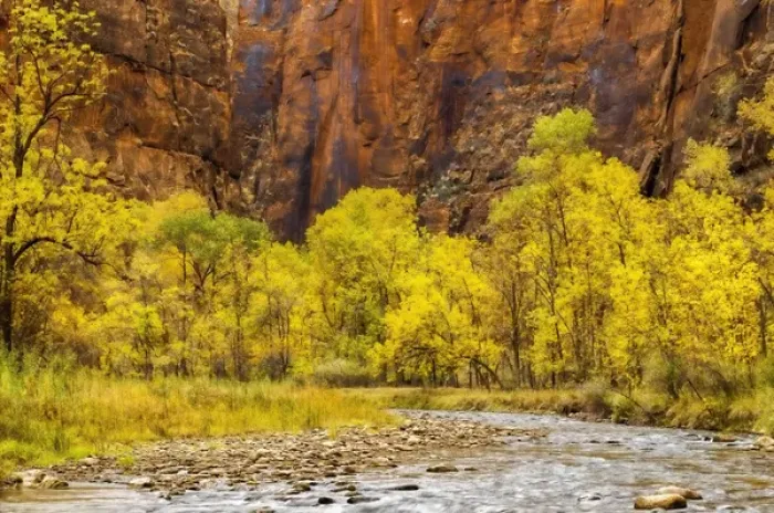 Framed Print : USA, Utah, Zion National Park. Stream in autumn landscape Framed Print : USA, Utah, Zion National Park. Stream in autumn landscape