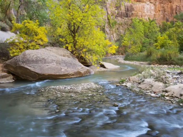 Framed Print : USA, Utah. Zion National Park, Virgin River Framed Print : USA, Utah. Zion National Park, Virgin River