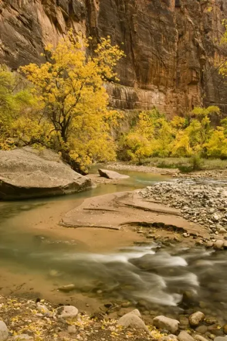 Framed Print : USA, Utah, Zion National Park. Virgin River autumn scenic Framed Print : USA, Utah, Zion National Park. Virgin River autumn scenic