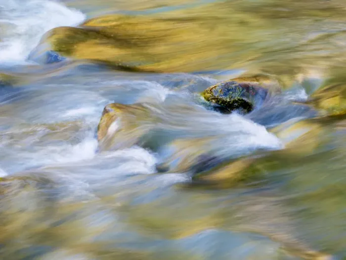 Framed Print : USA, Utah. Zion National Park, Virgin River close-up