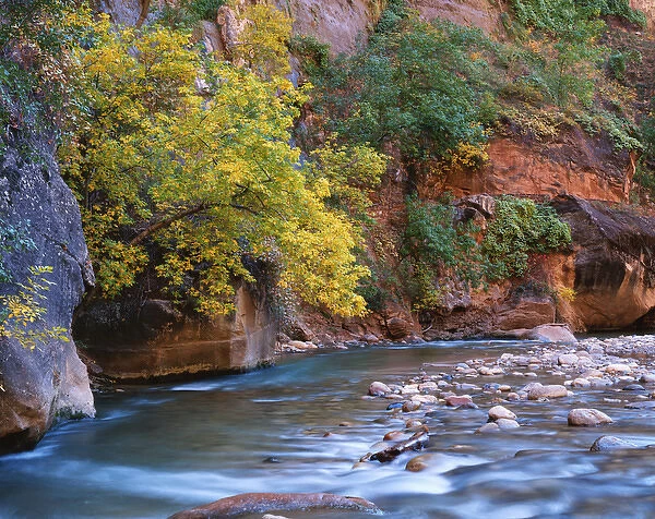USA, Utah, Zion National Park. The Virgin River flows through the Narrows. Credit as