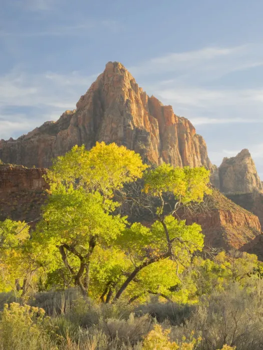 Framed Print : USA, Utah. Zion National Park, The Watchman