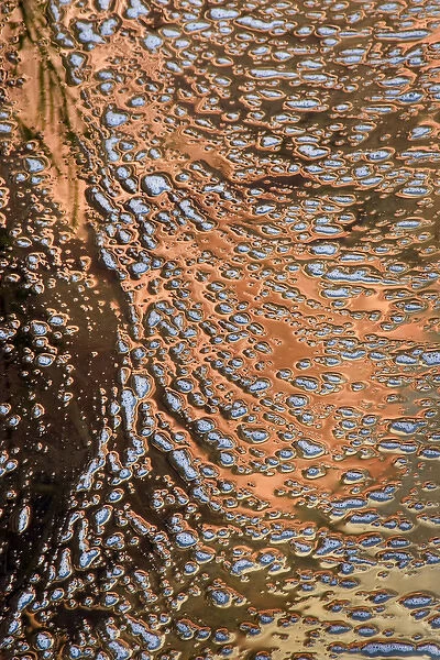 USA, Utah, Zion National Park. Water abstract