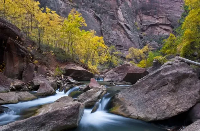 Framed Print : USA, Utah, Zion National Park. Waterfall with cottonwood trees along Riverside Walk in The Narrows