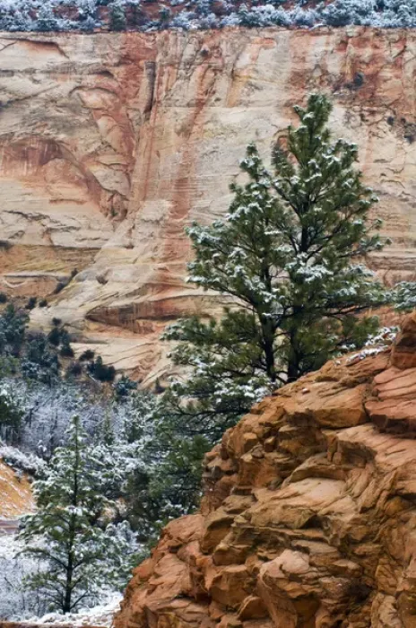 Framed Print : USA, Utah, Zion National Park. Winter scenic Framed Print : USA, Utah, Zion National Park. Winter scenic