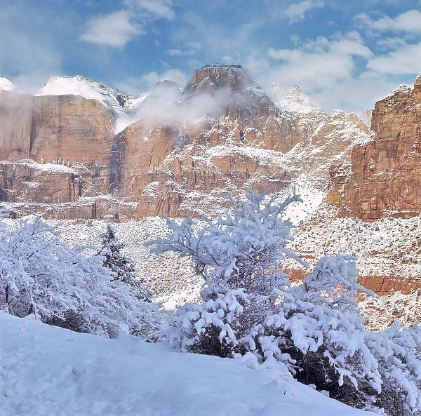 USA, Utah, Zion NP. Fresh snow decorates the Great White Throne in Zion National Park