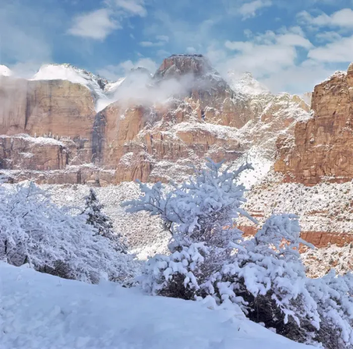 Framed Print : USA, Utah, Zion NP. Fresh snow decorates the Great White Throne in Zion National Park Framed Print : USA, Utah, Zion NP. Fresh snow decorates the Great White Throne in Zion National Park