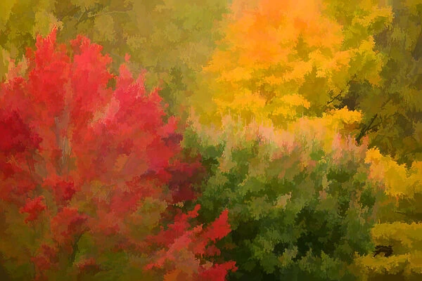USA, Vermont. Abstract of autumn trees and foliage