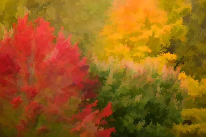 Framed Print : USA, Vermont. Abstract of autumn trees and foliage Framed Print : USA, Vermont. Abstract of autumn trees and foliage