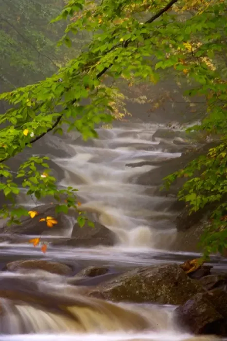 Framed Print : USA, Vermont, East Arlington, Flowing streams along the Appalachian Trail Framed Print : USA, Vermont, East Arlington, Flowing streams along the Appalachian Trail