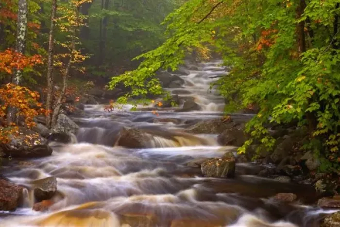 Framed Print : USA, Vermont, East Arlington, Flowing streams along the Appalachian Trail Framed Print : USA, Vermont, East Arlington, Flowing streams along the Appalachian Trail