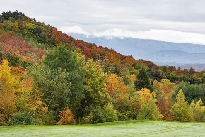 Framed Print : USA, Vermont, Fall foliage on Mount Mansfield Framed Print : USA, Vermont, Fall foliage on Mount Mansfield