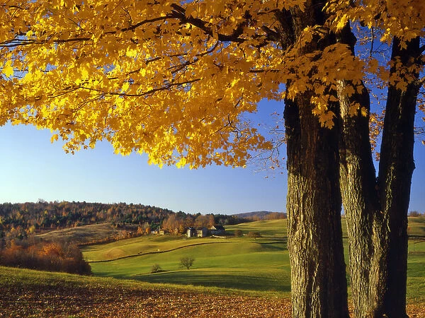 USA, Vermont. Farm scenic near South Woodstock. Credit as: Steve Terrill  /  Jaynes