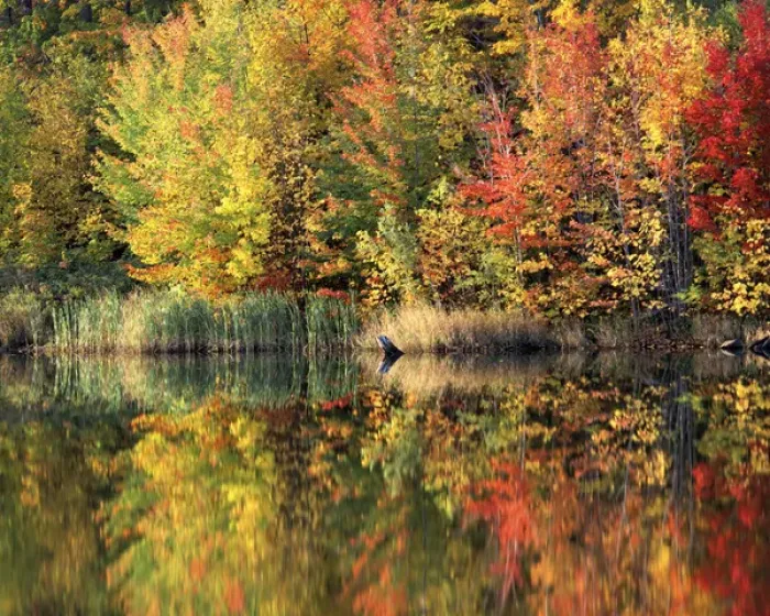 Framed Print : USA, Vermont, Green Mountain National Forest, Pond Framed Print : USA, Vermont, Green Mountain National Forest, Pond
