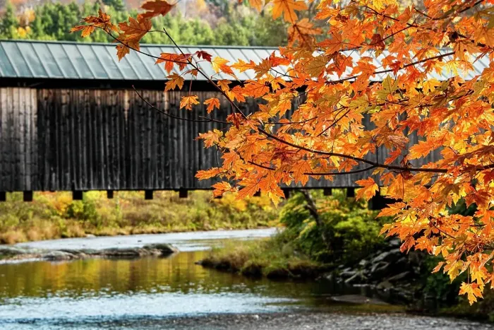 Framed Print : USA, Vermont, Mad River Valley. Waitsfield covered bridge, maple leaves in fall foliage, Mad River