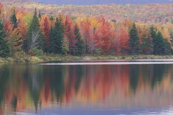 USA, Vermont, McAllister Lake, near Hazens Notch State Park, Mirror reflection of