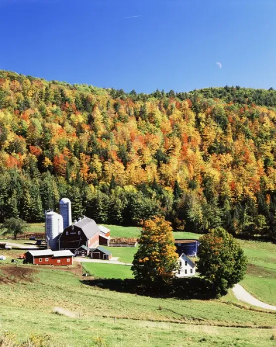 Framed Print : USA, Vermont, Northeast Kingdom, Irasburg, View of Diamond Heart farm in autumn Framed Print : USA, Vermont, Northeast Kingdom, Irasburg, View of Diamond Heart farm in autumn