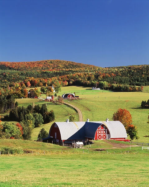 USA, Vermont, Northeast Kingdom, Barnet, View of farm in autumn