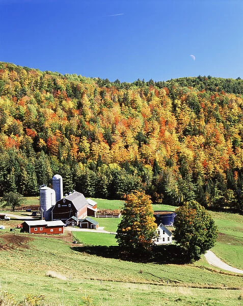 USA, Vermont, Northeast Kingdom, Irasburg, View of Diamond Heart farm in autumn