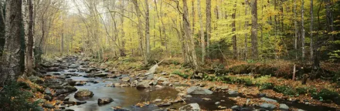 Framed Print : USA, Vermont, Northeast Kingdom, Stream in autumn Framed Print : USA, Vermont, Northeast Kingdom, Stream in autumn