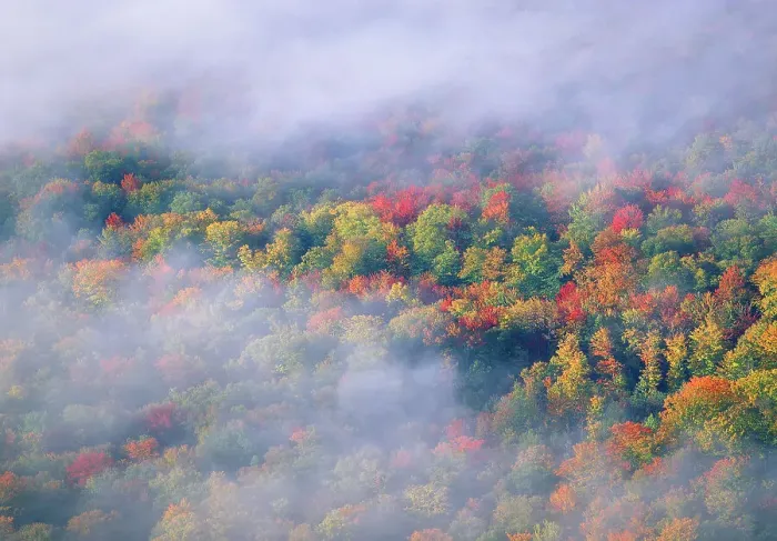 Framed Print : USA, Vermont. Overview of wispy clouds and forest in autumn foliage