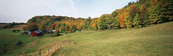 USA, Vermont, Reading, Jenne farm in autumn