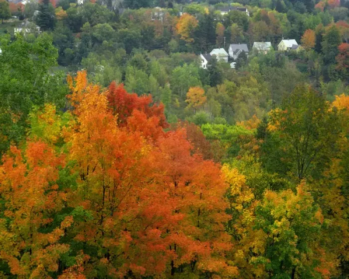 Framed Print : USA, Vermont, Saint Johnsbury. Hillside scenic of trees and homes Framed Print : USA, Vermont, Saint Johnsbury. Hillside scenic of trees and homes