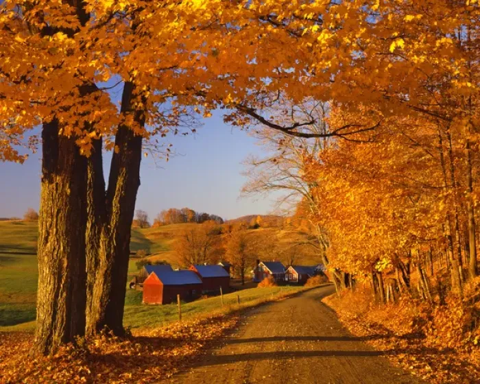Framed Print : USA, Vermont, South Woodstock. Scenic of road and Jenne Farm. Credit as: Steve Terrill Framed Print : USA, Vermont, South Woodstock. Scenic of road and Jenne Farm. Credit as: Steve Terrill