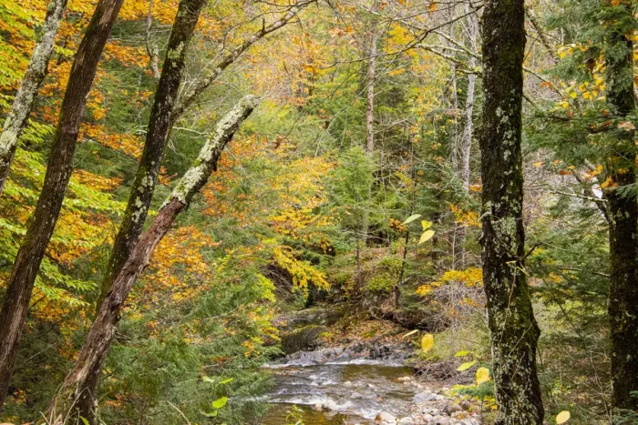 Framed Print : USA, Vermont, Stowe, Sterling Valley tributary to Little River in fall foliage