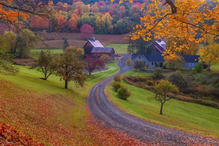 Framed Print : USA, Vermont, Woodstock. Winding road to Sleepy Hollow Farm in autumn. (Editorial Use Only) Framed Print : USA, Vermont, Woodstock. Winding road to Sleepy Hollow Farm in autumn. (Editorial Use Only)