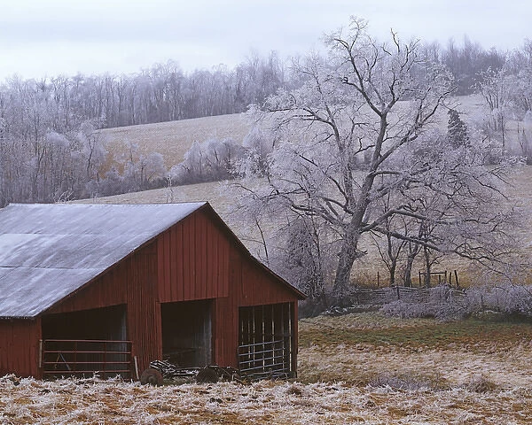 USA, Virginia, Augusta County, Barn and ice covered trees
