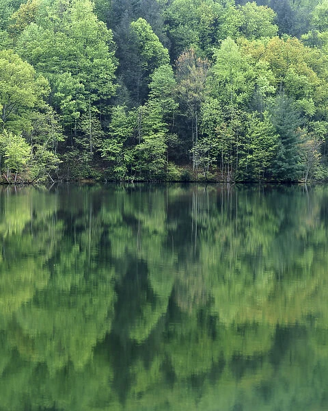 USA, Virginia, Blue Ridge Mountains, Reflections in Charlottesville Lake