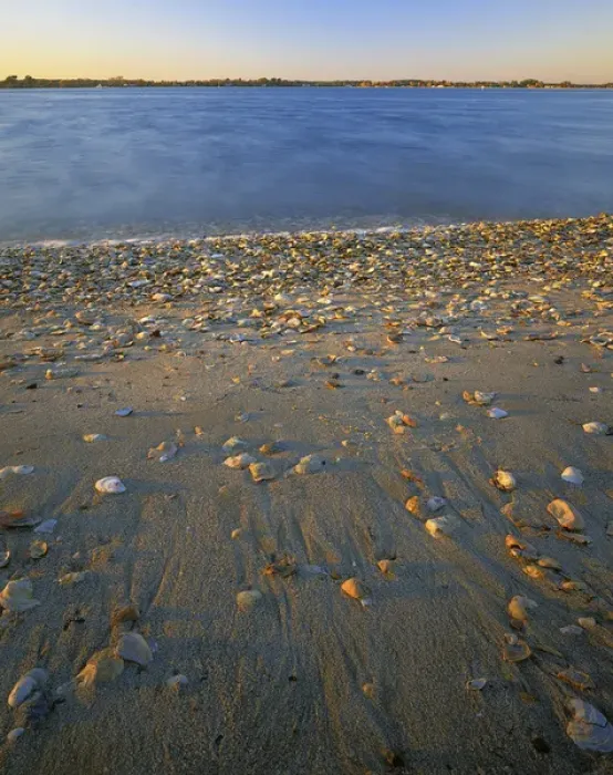 Framed Print : USA, Virginia, Chesapeak Bay, Shore at Sunset Framed Print : USA, Virginia, Chesapeak Bay, Shore at Sunset