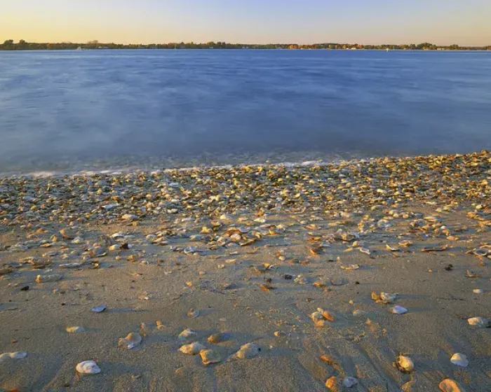 Framed Print : USA, Virginia, Chesapeak Bay, Shore at Sunset Framed Print : USA, Virginia, Chesapeak Bay, Shore at Sunset