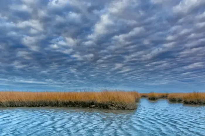 Framed Print : USA, Virginia. Cloudy scenic on Chincoteague Island Framed Print : USA, Virginia. Cloudy scenic on Chincoteague Island