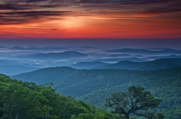 USA, Virginia, Franklin Cliff Overlook. Sunset on forested mountains Credit as