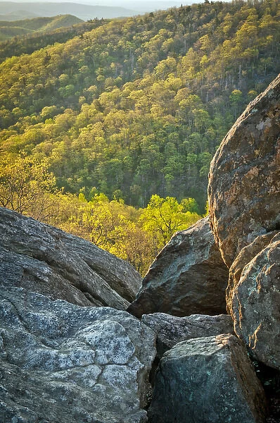 USA, Virginia, Hazel Mountain Overlook. View of boulders and forest. Credit as: Jay