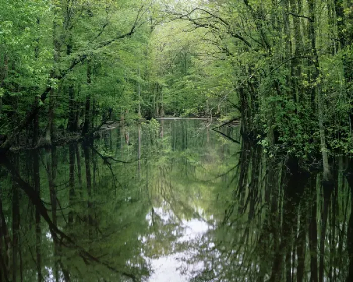 Framed Print : USA, Virginia, Isle of Wight County, The Blackwater River
