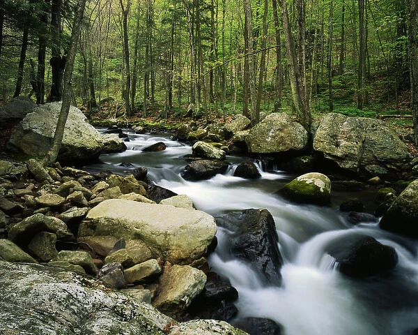 USA, Virginia, Jefferson National Forest, Little Stony Creek