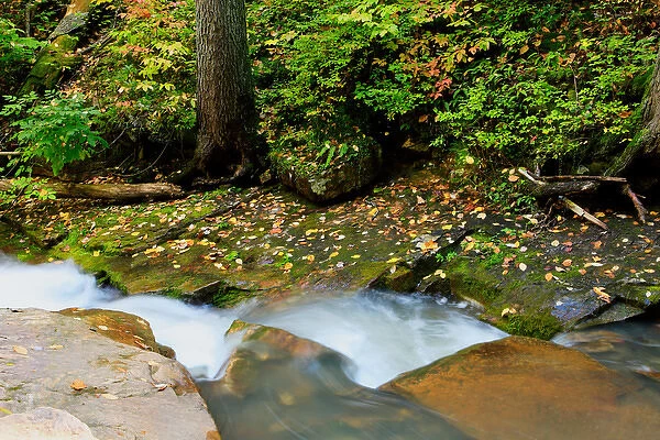 USA, Virginia, Jefferson National Forest, Roaring Run, Waterfall with Fall colors