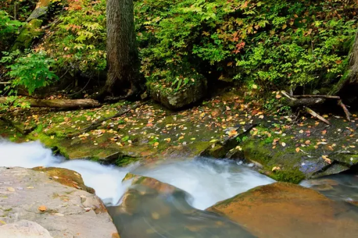 Framed Print : USA, Virginia, Jefferson National Forest, Roaring Run, Waterfall with Fall colors