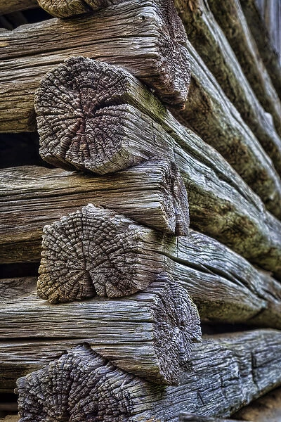 USA, Virginia, Roanoke, Explore Park. Detail of log cabin