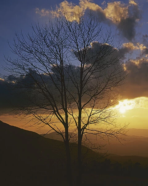 USA, Virginia, Shenandoah National Park, Sunset from Appalachian Trail